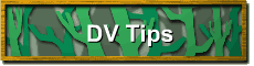 DV Tips
